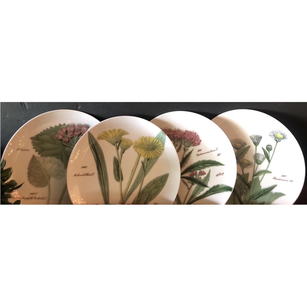 4 Rosanna "Giardino" Salad Dessert Plates Floral Botanical Illustrations 8"